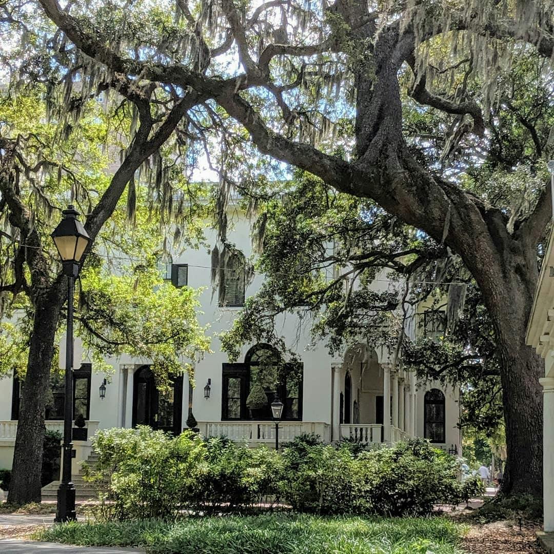 Savannah: Part 1