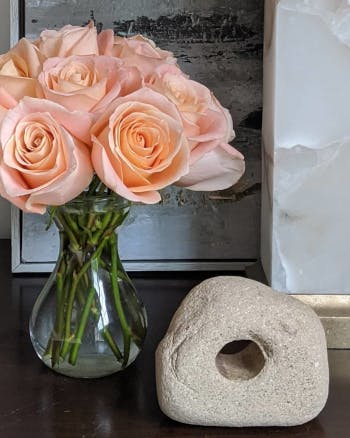 Peach Roses = Peaceful Moment